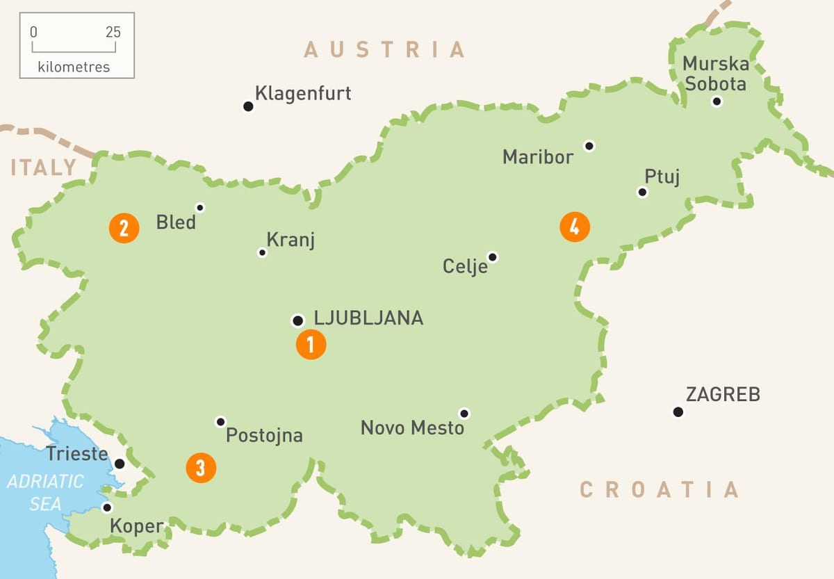 Kaart van Slowenië streke